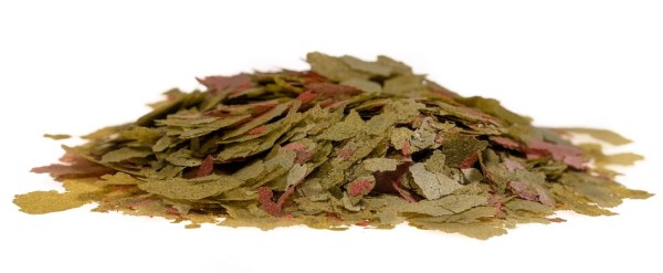 Tropical Malawi 1000ml Pokarm Płatki Uzupełnienie