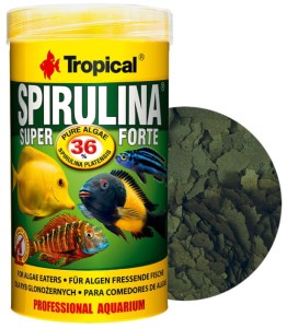 Tropical spirulina super forte 36% 250ml pokarm