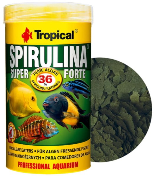 Tropical spirulina super forte 36% 250ml pokarm