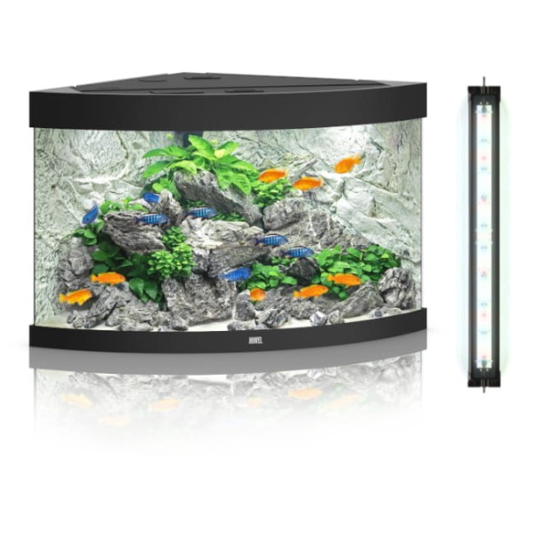 Juwel trigon 190 helialux zestaw z wyposażeniem w kolorze czarnym