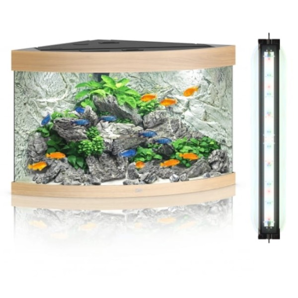 Juwel trigon 190 helialux zestaw z wyposażeniem w kolorze jasnego drewna