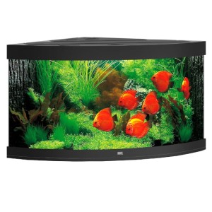 Juwel trigon 350 led zestaw z wyposażeniem w kolorze czarnym