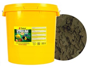 Tropical spirulina forte 36% wiaderko 21l/4kg