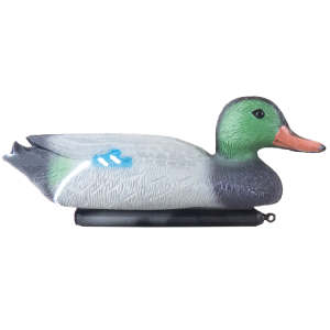 Kaczka krzyżówka samiec ozdoba do oczka wodnego lub stawu