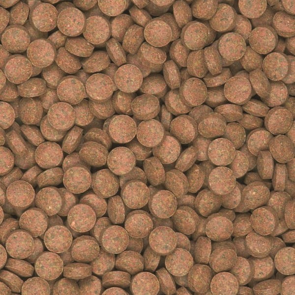 Tropical supervit tablets b - pokarm tabletki 100g