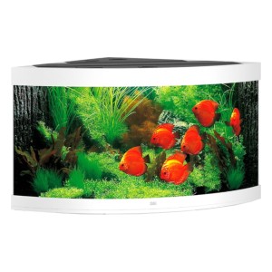 Juwel trigon 350 led zestaw z wyposażeniem w kolorze białym