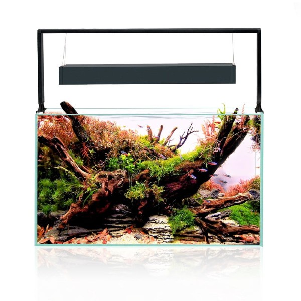 Aquael UltraScape Set Forest akwarium 65l z oświetleniem LED 3x10w