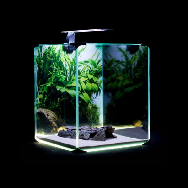 Diversa akwarium rośinne neolight 30 zestaw 31,5l led grzałka filtr