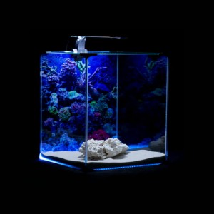 Diversa akwarium morskie neolight 30 zestaw 31,5l led grzałka filtr
