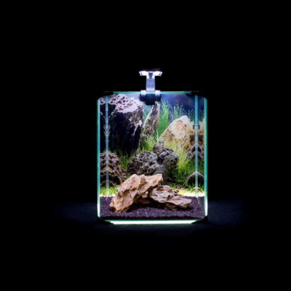 Diversa akwarium rośinne neolight 20 zestaw 19l led grzałka filtr