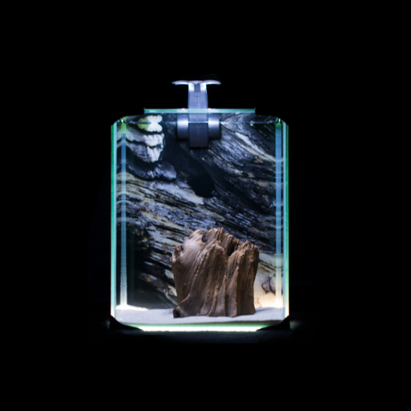 Diversa akwarium skały neolight 10 zestaw 10l led grzałka filtr