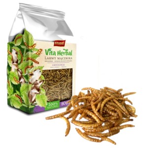 Przysmak larwy mącznika dla gryzoni 80g VITAHERBAL