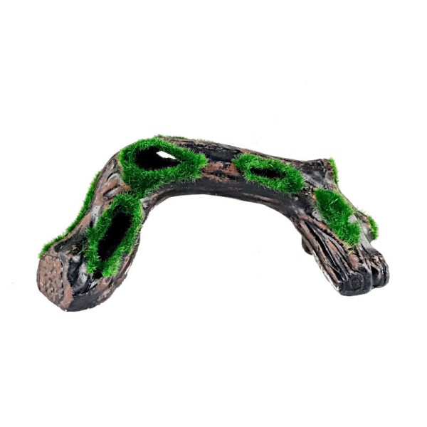 Aqua nova korzeń z mchem 18x8cm tc18002-18