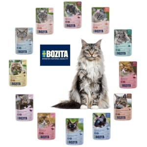 Karma dla kota BOZITA pakiet 12x85g mix smaków