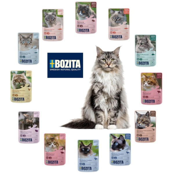 Karma dla kota BOZITA pakiet 12x85g mix smaków
