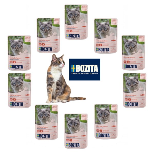 BOZITA saszetka kawałki w sosie z łososiem 10x85g