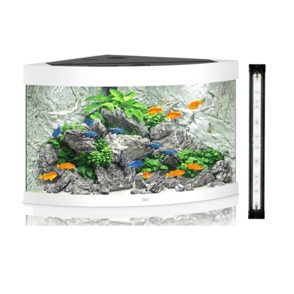 Juwel trigon 190 helialux zestaw z wyposażeniem w kolorze białym