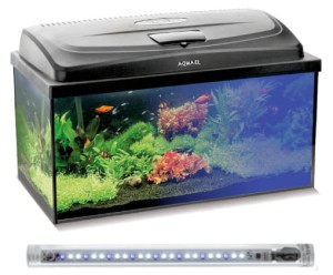 Aquael Classic Box 60 akwarium proste 54l + pokrywa LED D&N