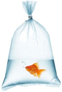 WORKI DO TRANSPORTU RYB KREWETEK 16x45 50 szt.