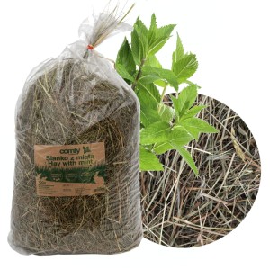 Sianko z miętą świnki królika chomika gryzoni 33l Comfy