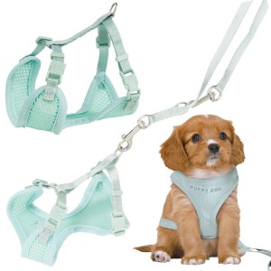 MIĘKKIE szelki dla szczeniaka + smycz MIĘTOWE TRIXIE