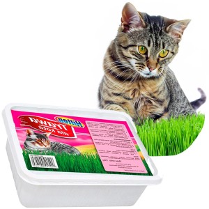 Trawa szybkorosnąca przysmak  dla kota 150g HILTON