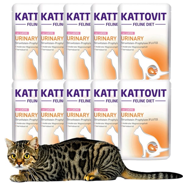 Kattovit NIERE URINARY karma dla kota łosoś 10x85g