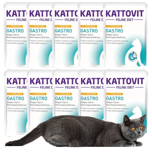 Kattovit GASTRO kurczak ryż dla kota PAKIET 10x85g