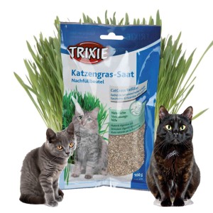 Kocia trawa nasiona w torebce przysmak dla kota