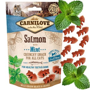 CARNILOVE SNACK CAT FRESH CRUNCHY SALMON+MINT 50g przysmak dla kota