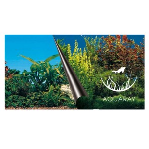 Tło dwustronne rośliny BEAUTY / SEA 80x40cm fototapeta do akwarium