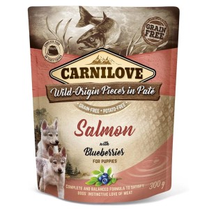 CARNILOVE DOG POUCH SALMON&BLUEBERRIES PUPPIE 300G karma sucha dla szczeniąt