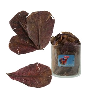 Pokarm naturalny suszone liście migdałecznika właściwego 14szt ketapang