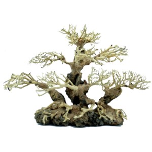 Drzewko BONSAI 40x15x30cm naturalna ozdoba do akwarium preparowana