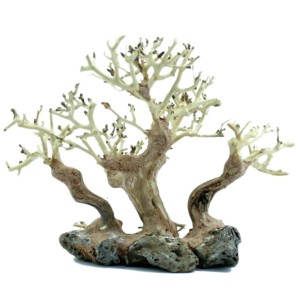 Drzewko BONSAI 30x16x20cm naturalna ozdoba do akwarium preparowana