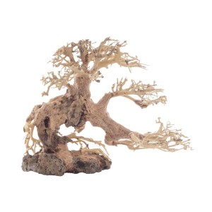 Drzewko BONSAI 25x10x20cm naturalna ozdoba do akwarium preparowana