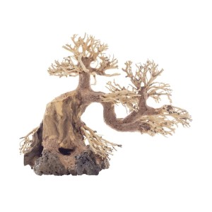 Drzewko BONSAI 20x8x15cm naturalna ozdoba do akwarium preparowana BT9S 