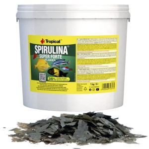 Tropical Spirulina Forte 36% Wiaderko 5l/1kg