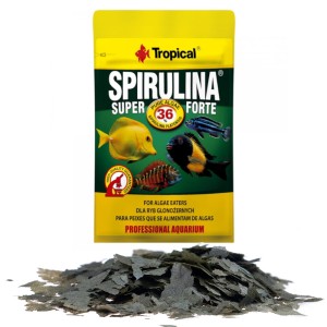 Tropical Spirulina Super Forte 36% saszetka 12g pokarm dla ryb