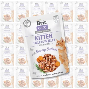 Brit Care Cat FJ Fine Savory Salmon ZESTAW 24x85g kawałki w sosie karma dla kociąt