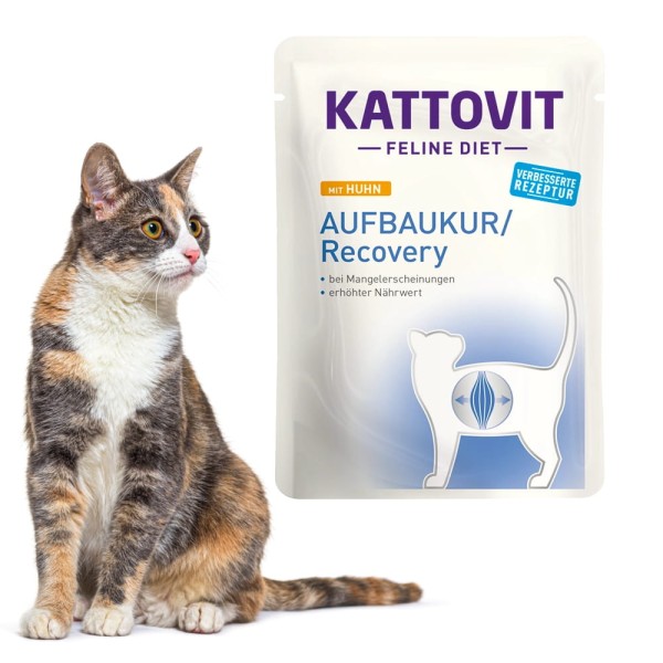 KATTOVIT Recovery Diet Regeneracja dla kota 85g