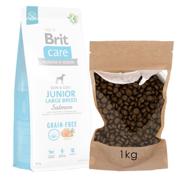 BRIT CARE GF JUNIOR LB SALMON 1kg sucha karma dla psa rozważana