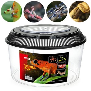 HAPPET Pojemnik hodowlany TERRA BOX / FAUNARIUM 30x30x19cm BX08