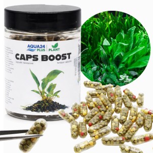 Caps Boost 60szt nawóz w kapsułkach dla roślin | Aqua24 Plus Plant