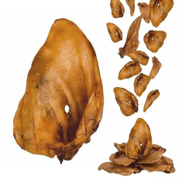 Przysmak dla Psa Ucho Wieprzowe rozmiar L Duże 100% Naturalny GACZOO GACZOO 1 sztuka