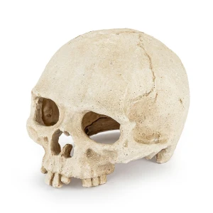 Ozdoba Czaszka Kryjówka Dekoracja do Terrarium Akwarium Happet 15cm