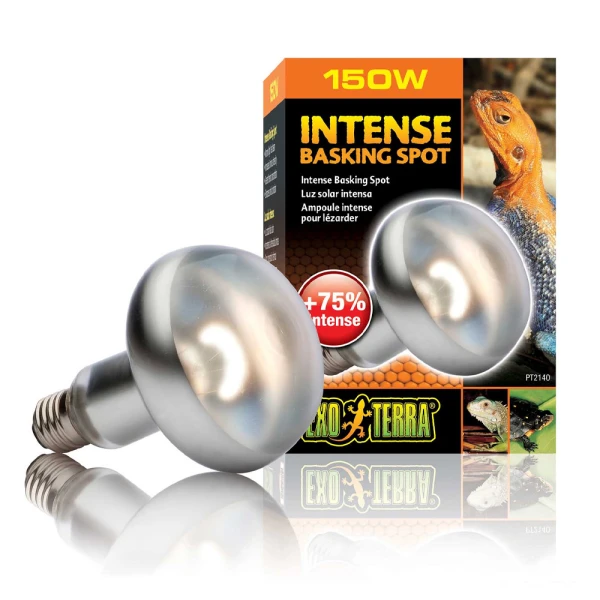 Exo Terra Intense Basking Spot 150W 95mm Żarówka do Terrarium