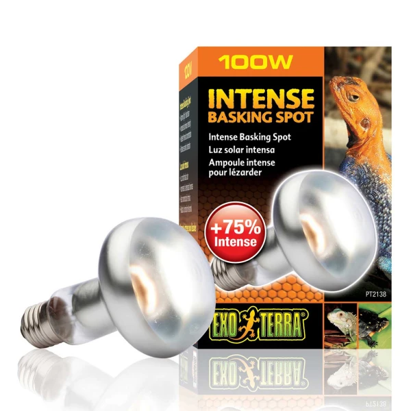 Exo Terra Intense Basking Spot 100W 80mm Żarówka do Terrarium