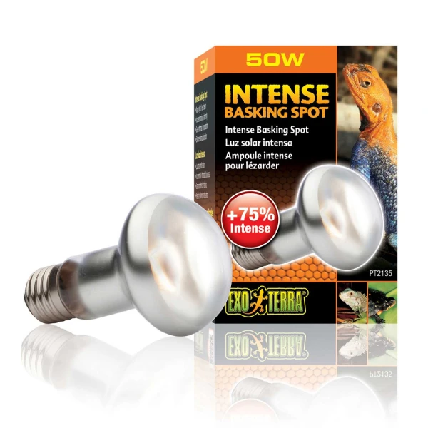 Exo Terra Intense Basking Spot 50W Punktowa Żarówka do Terrarium