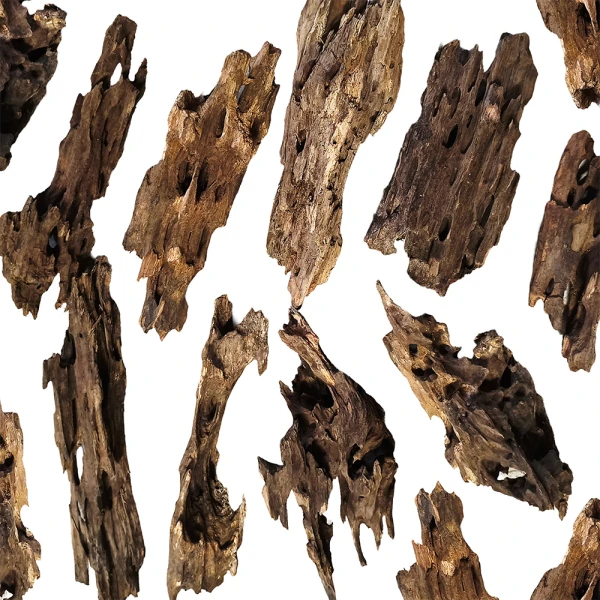 Korzeń Dragon Wood Smoczy Korzeń L 25-30cm Dekoracja Akwarium Hardscape